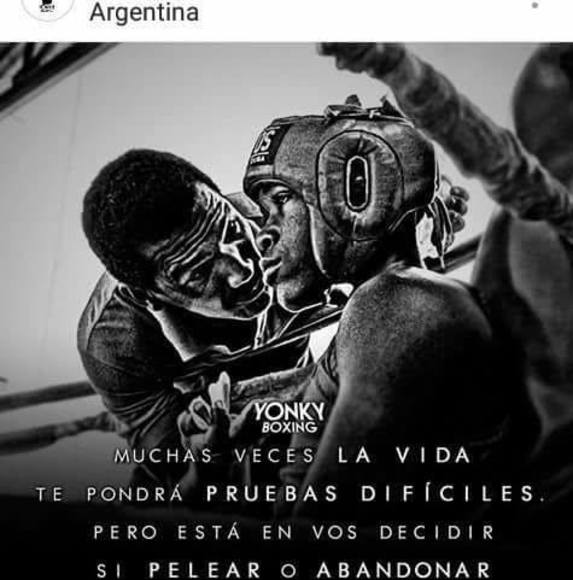 Meet your Posher, Alexander - Picture 1 of 1